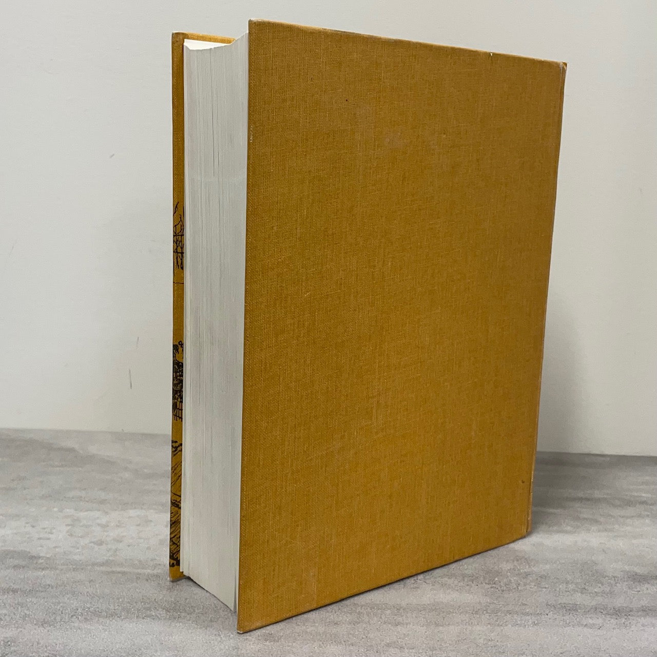 Wagon Trails Grown Over Sexsmith Smoky Alberta Canada Canadian History Book