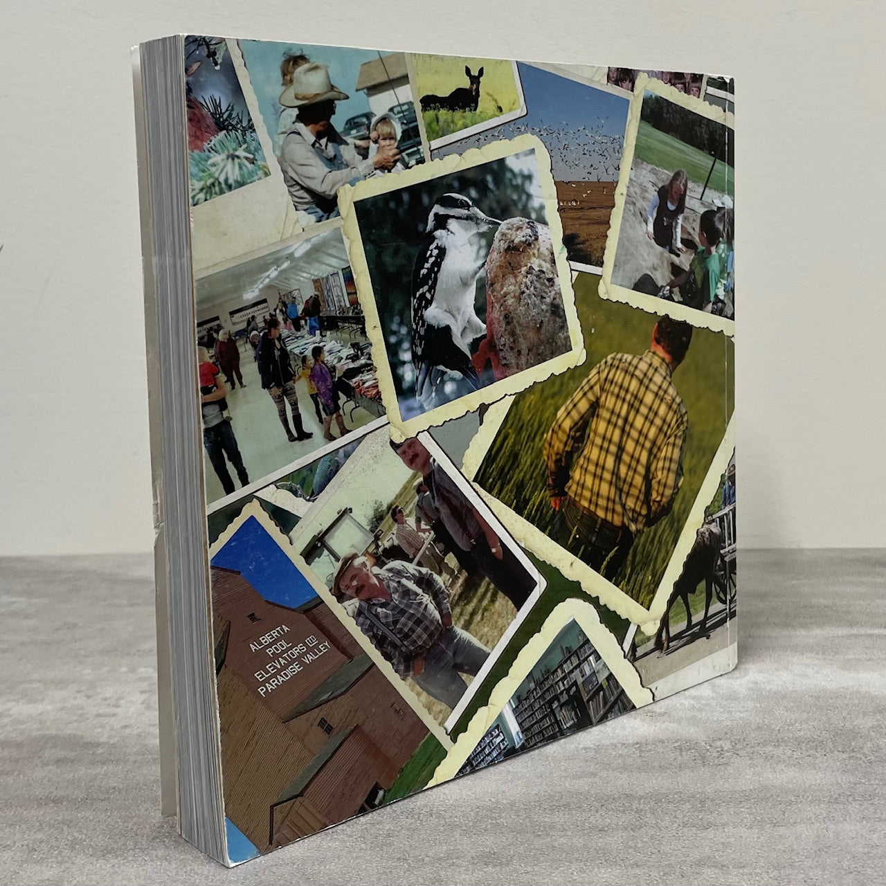 Family Friendships Farms Lloydminster Kitscoty Paradise Valley Alberta History Used Book