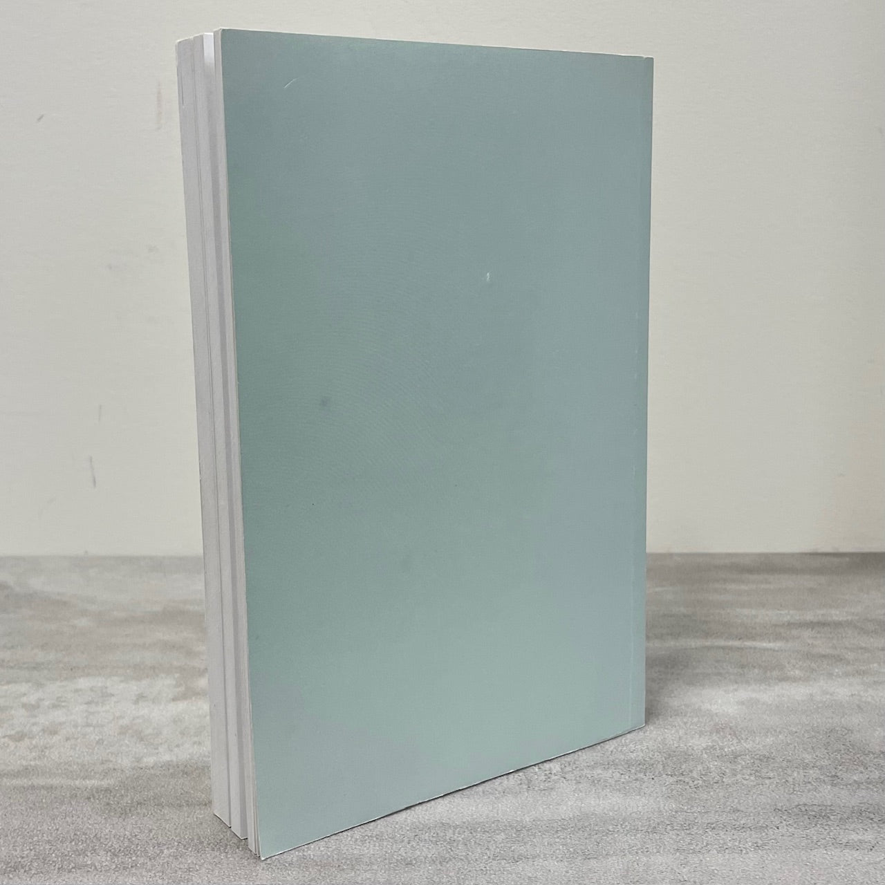 New Perth PEI Prince Edward Island Canada Canadian History Used Book