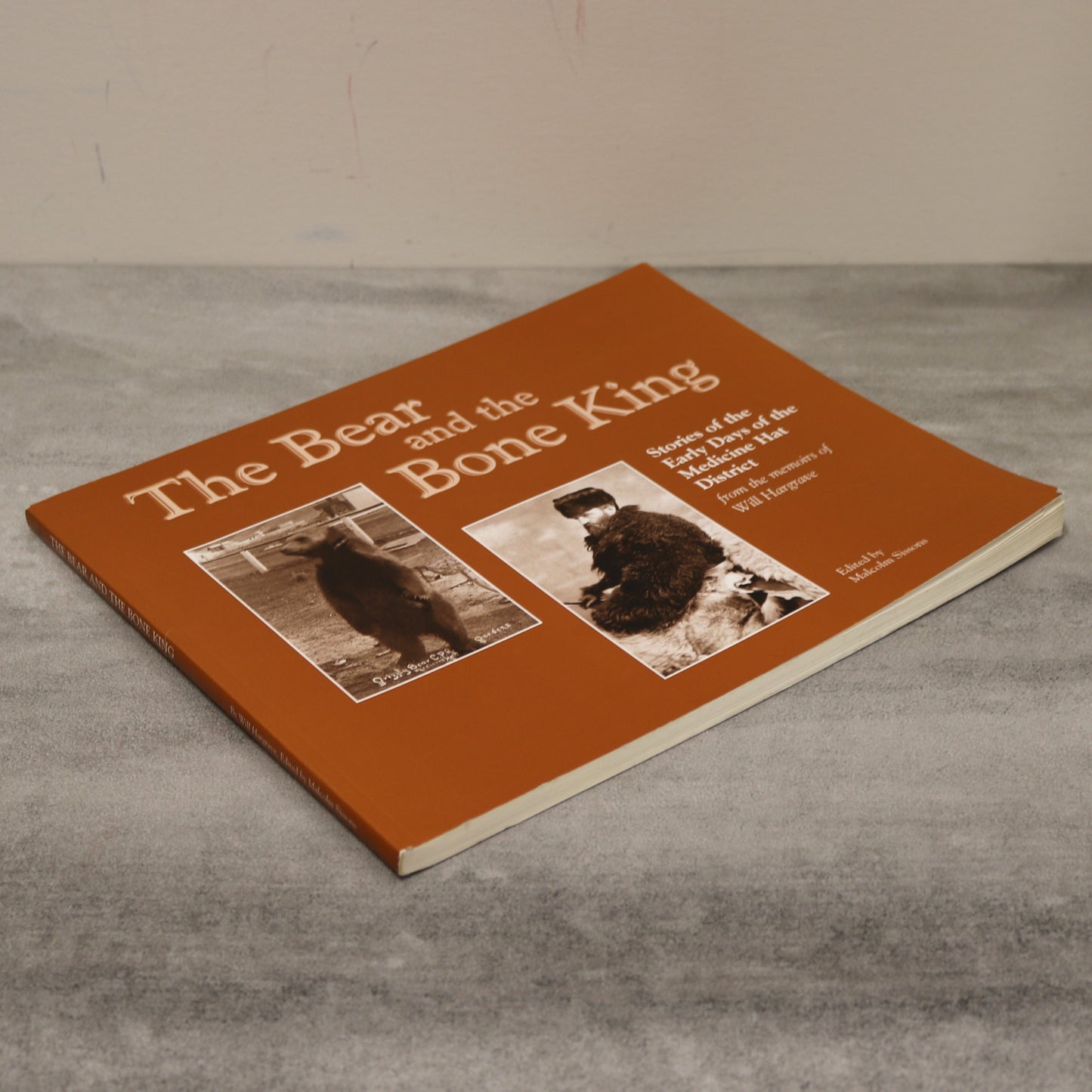 Bear and Bone King Medicine Hat History Alberta Canadian Canada Used Book