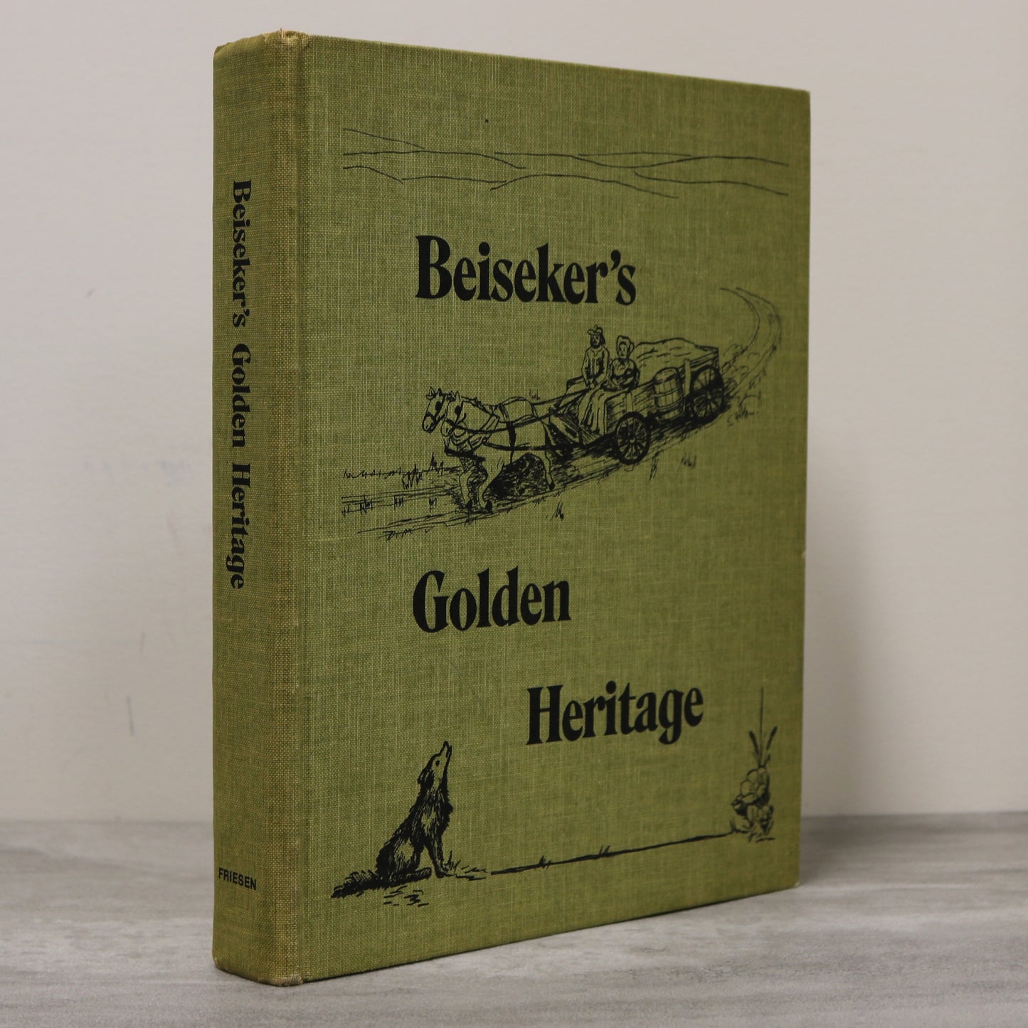 Beiseker Golden Heritage Alberta Canada Canadian Community History Used Book