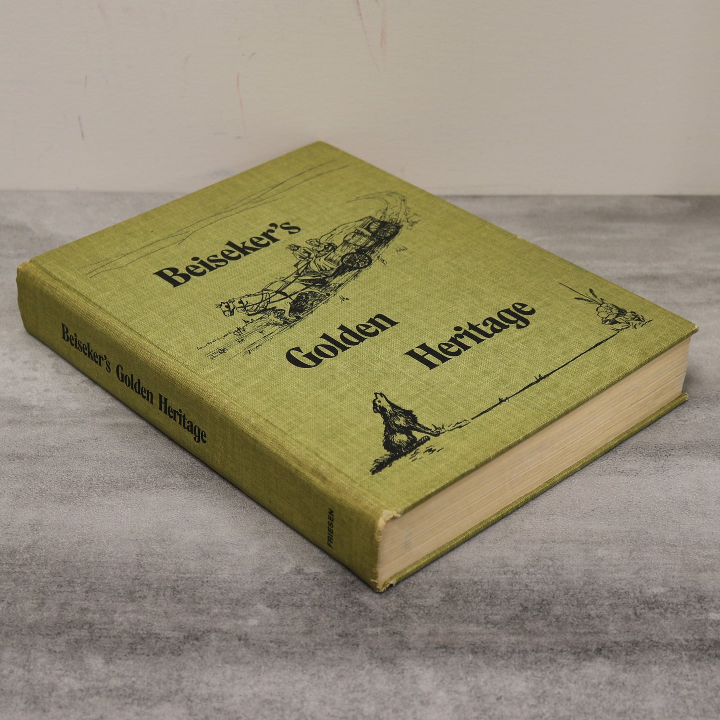 Beiseker Golden Heritage Alberta Canada Canadian Community History Used Book