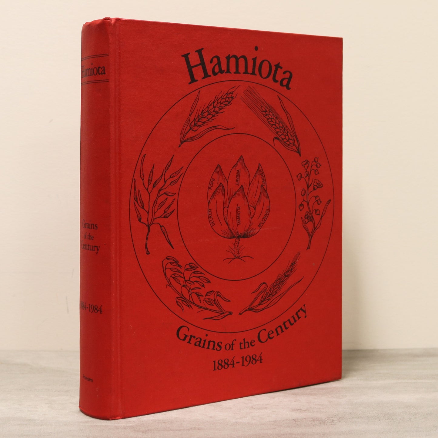 Hamiota Grains of the Century Manitoba Canada Canadian History Used Book
