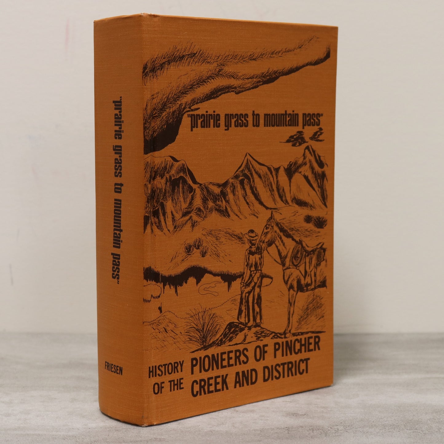 Prairie Grass Mountain Pass Pincher Creek Alberta Canada Canadian Local History Book