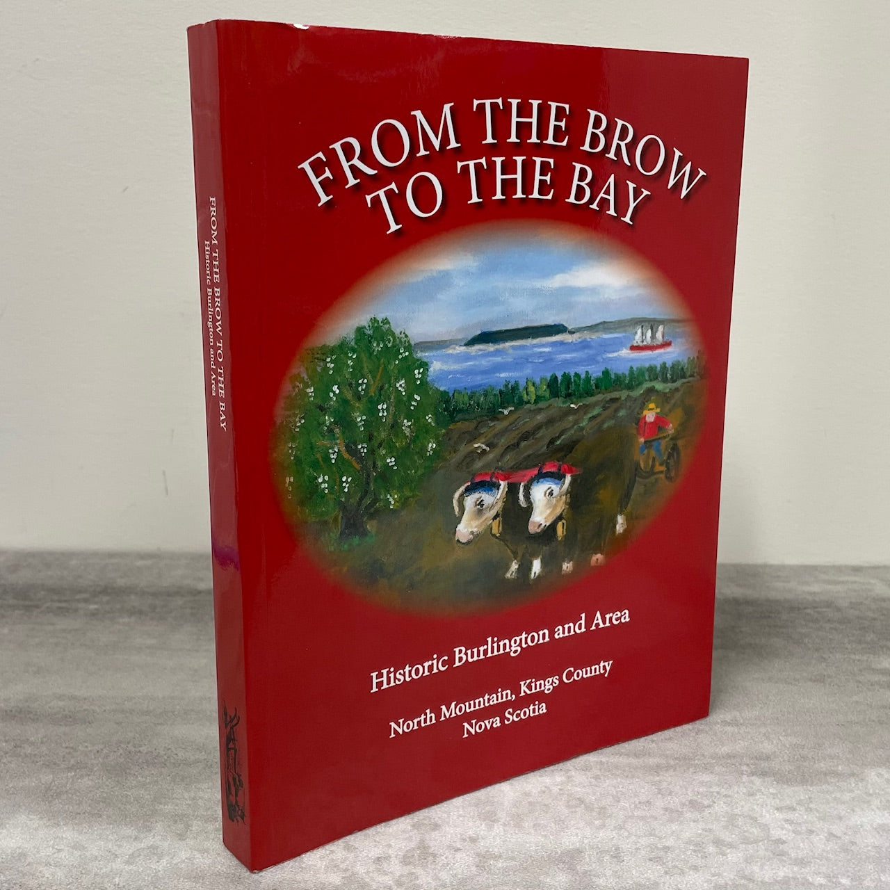 From the Brow to the Bay Burlington Kings County Nova Scotia Canada History Book