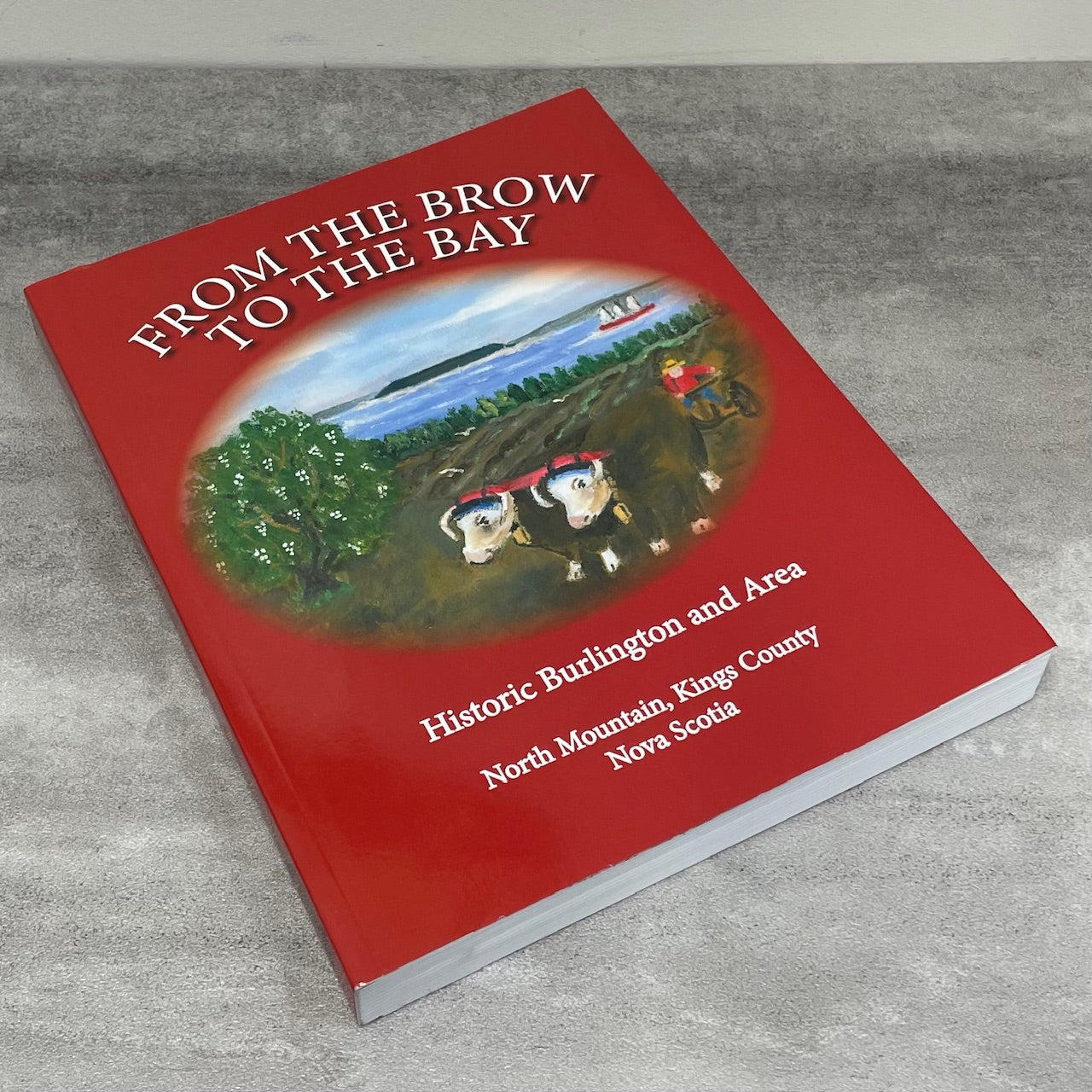 From the Brow to the Bay Burlington Kings County Nova Scotia Canada History Book
