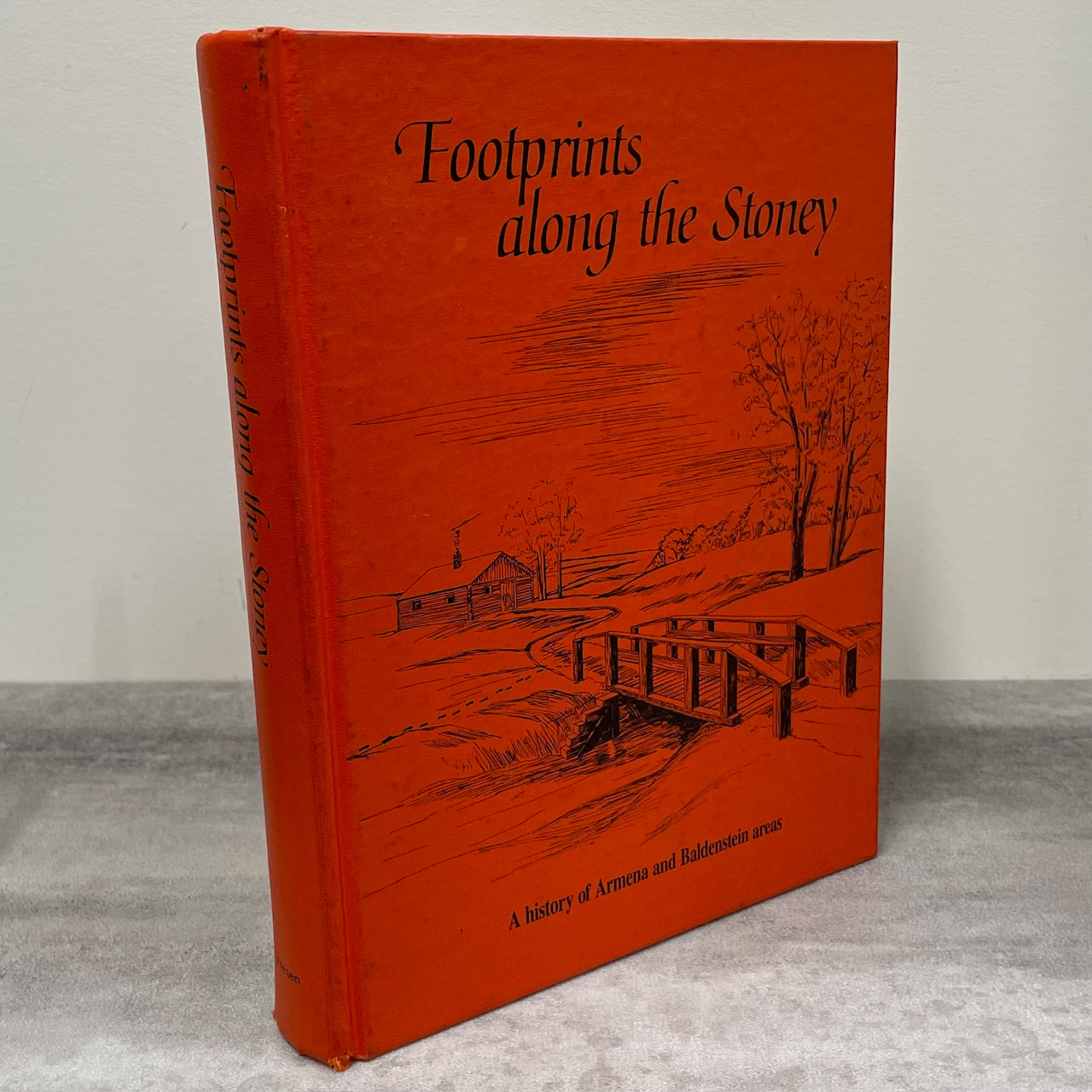 Footprints Along Stoney Armena Baldenstein Alberta Canada Camrose History Used Book