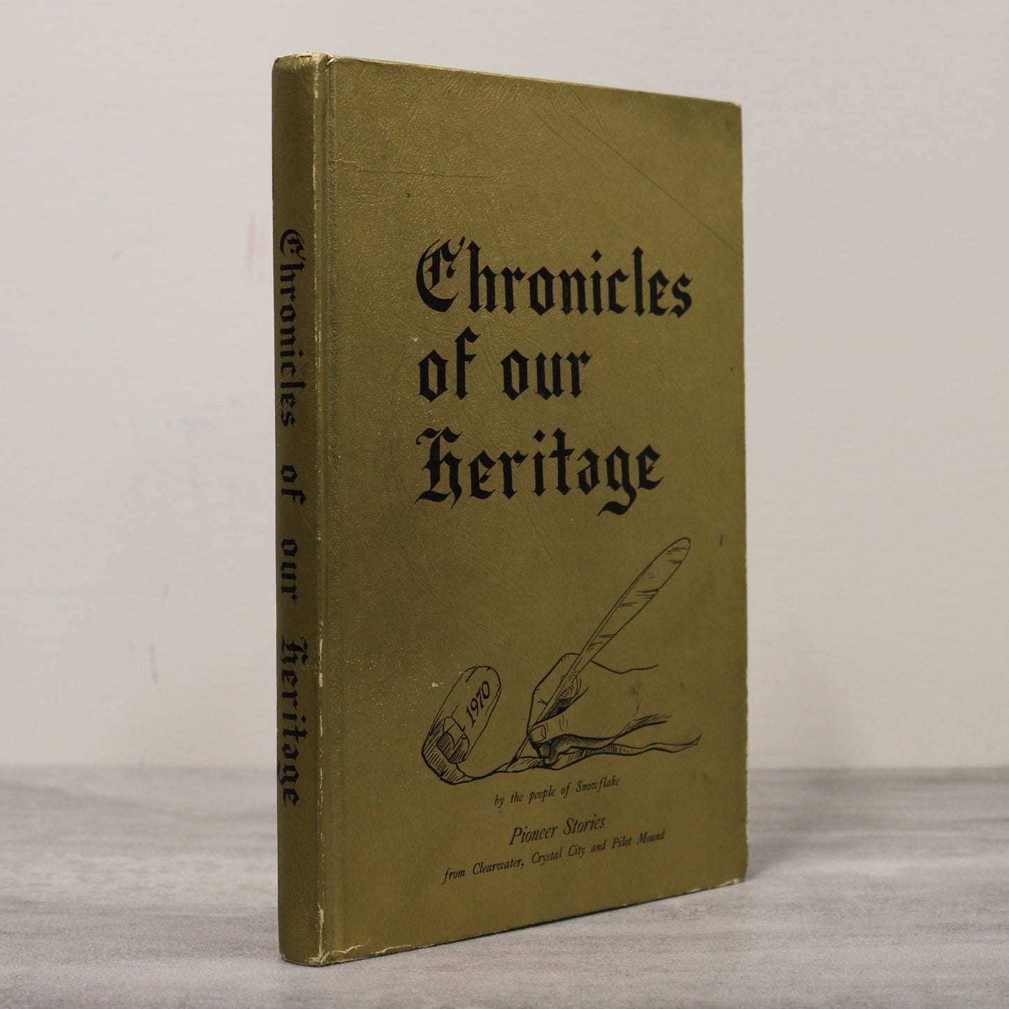 Chronicles of Our Heritage Clearwater Crystal City Pilot Mound Manitoba History Book