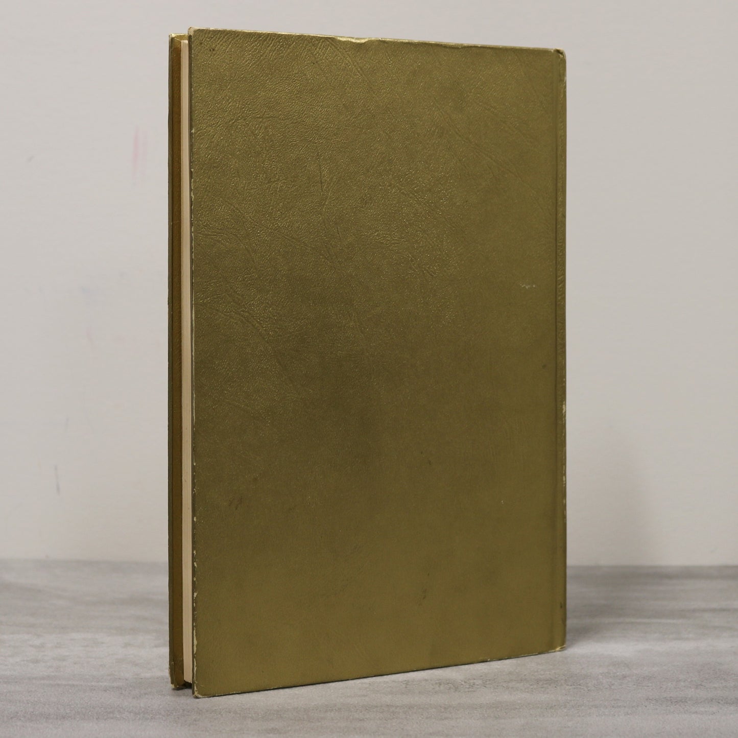 Chronicles of Our Heritage Clearwater Crystal City Pilot Mound Manitoba History Book