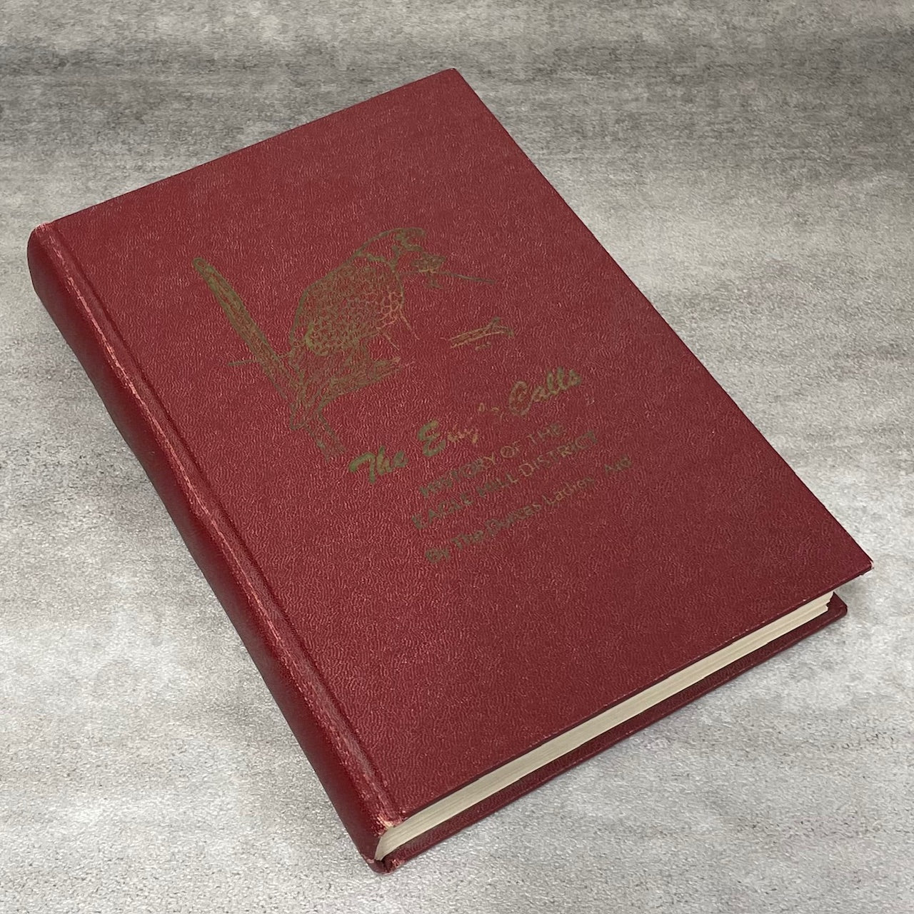 Eagle Calls Eagle Hill Olds Alberta Canada Canadian Local History Used Book