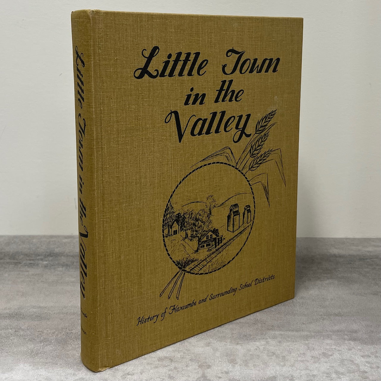 Little Town in the Valley Flaxcombe Saskatchewan Canada History Used Book