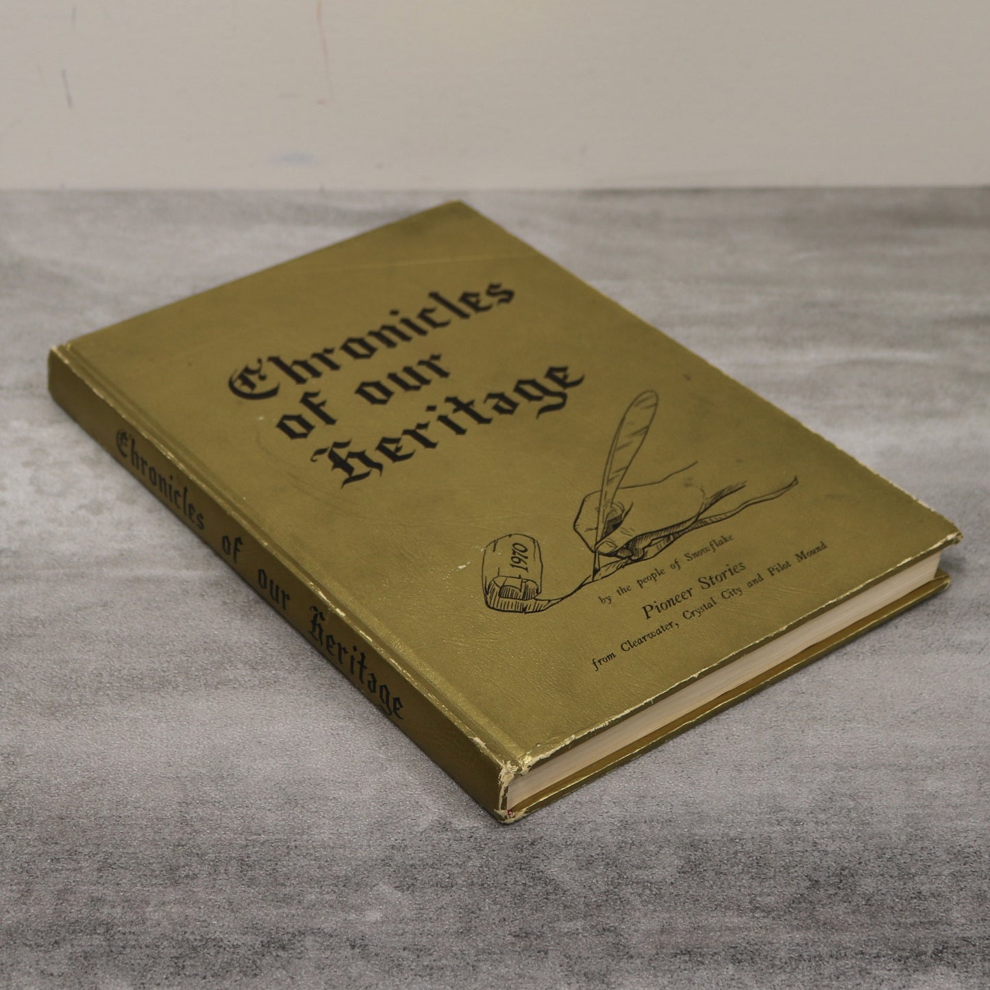 Chronicles of Our Heritage Clearwater Crystal City Pilot Mound Manitoba History Book