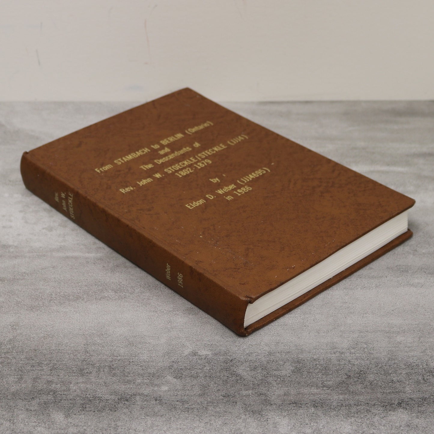 From Stambach to Berlin Ontario Stoeckle Steckle Genealogy Canada Canadian Book