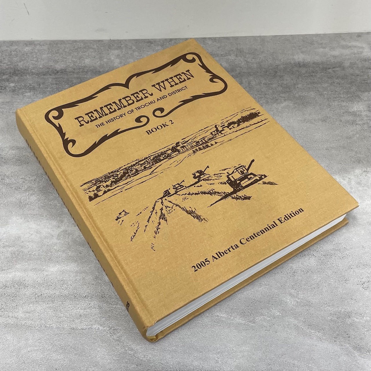 Remember When Trochu 2 Alberta Canada Canadian Local History Used Book