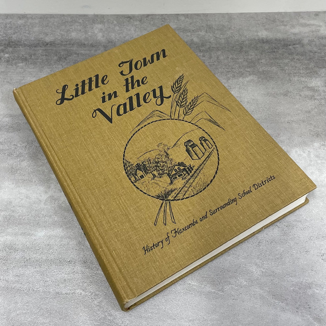 Little Town in the Valley Flaxcombe Saskatchewan Canada History Used Book