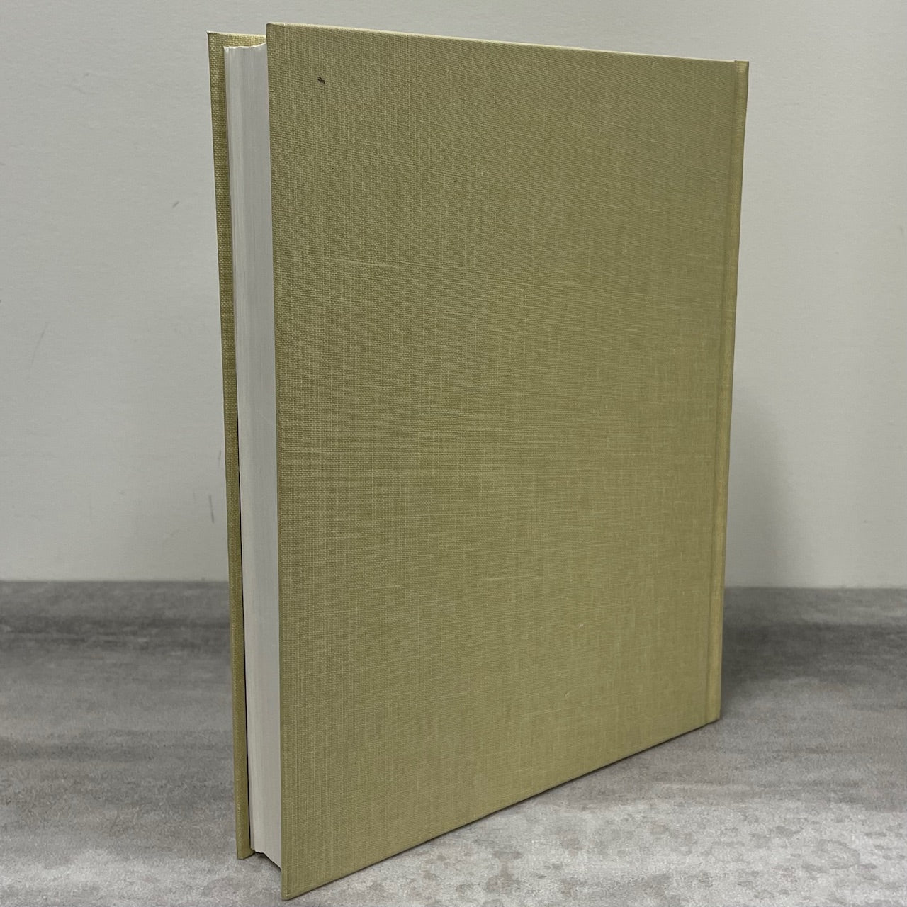 Waldheim Remembers the Past Saskatchewan Canada Canadian History Used Book