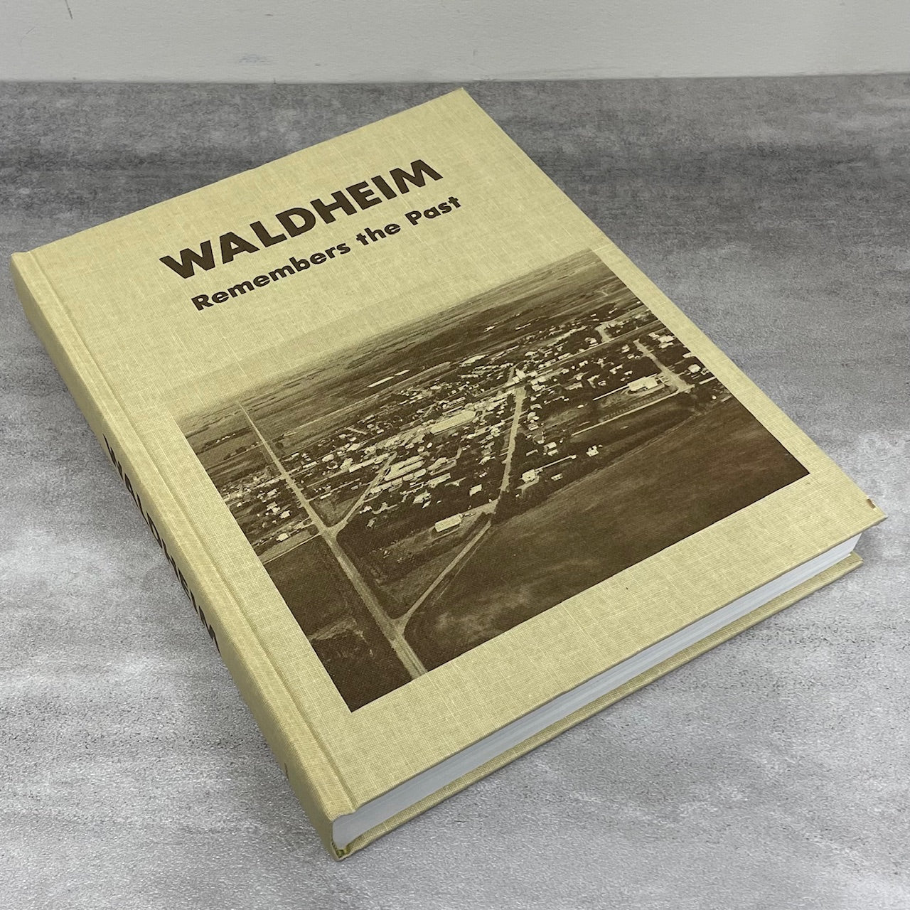 Waldheim Remembers the Past Saskatchewan Canada Canadian History Used Book