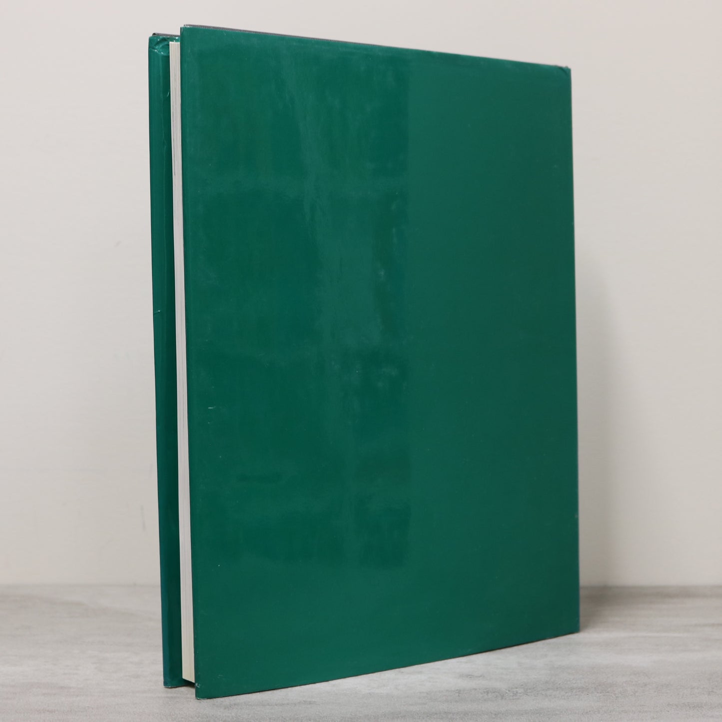 Bugles on Broadway Arrow Lakes BC British Columbia Kootenay History Nakusp Used Book