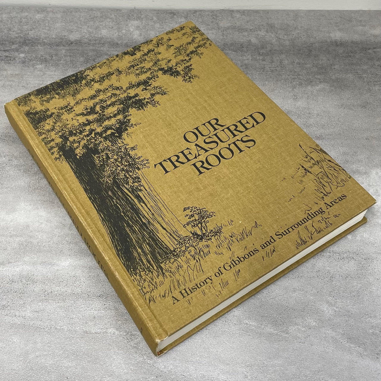 Our Treasured Roots Gibbons Alberta Canada Canadian Local History Used Book