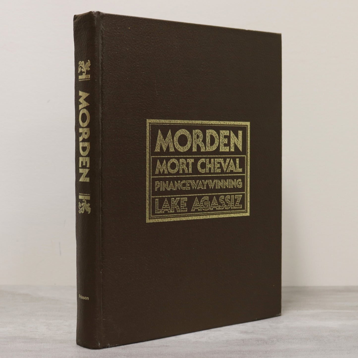 Morden Lake Agassiz Manitoba Canada Canadian Local Pictorial History Used Book