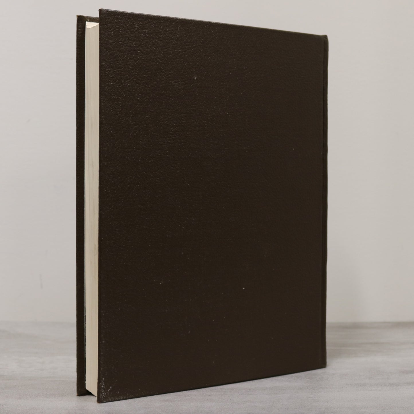 Morden Lake Agassiz Manitoba Canada Canadian Local Pictorial History Used Book