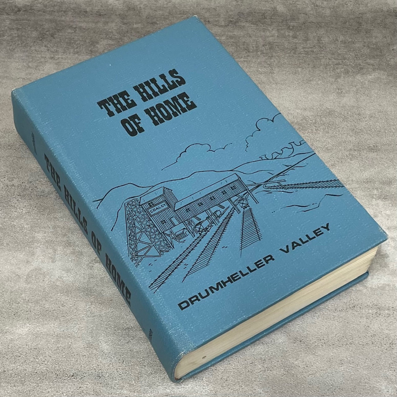 Hills of Home Drumheller Valley Alberta Canada Canadian Local History Used Book