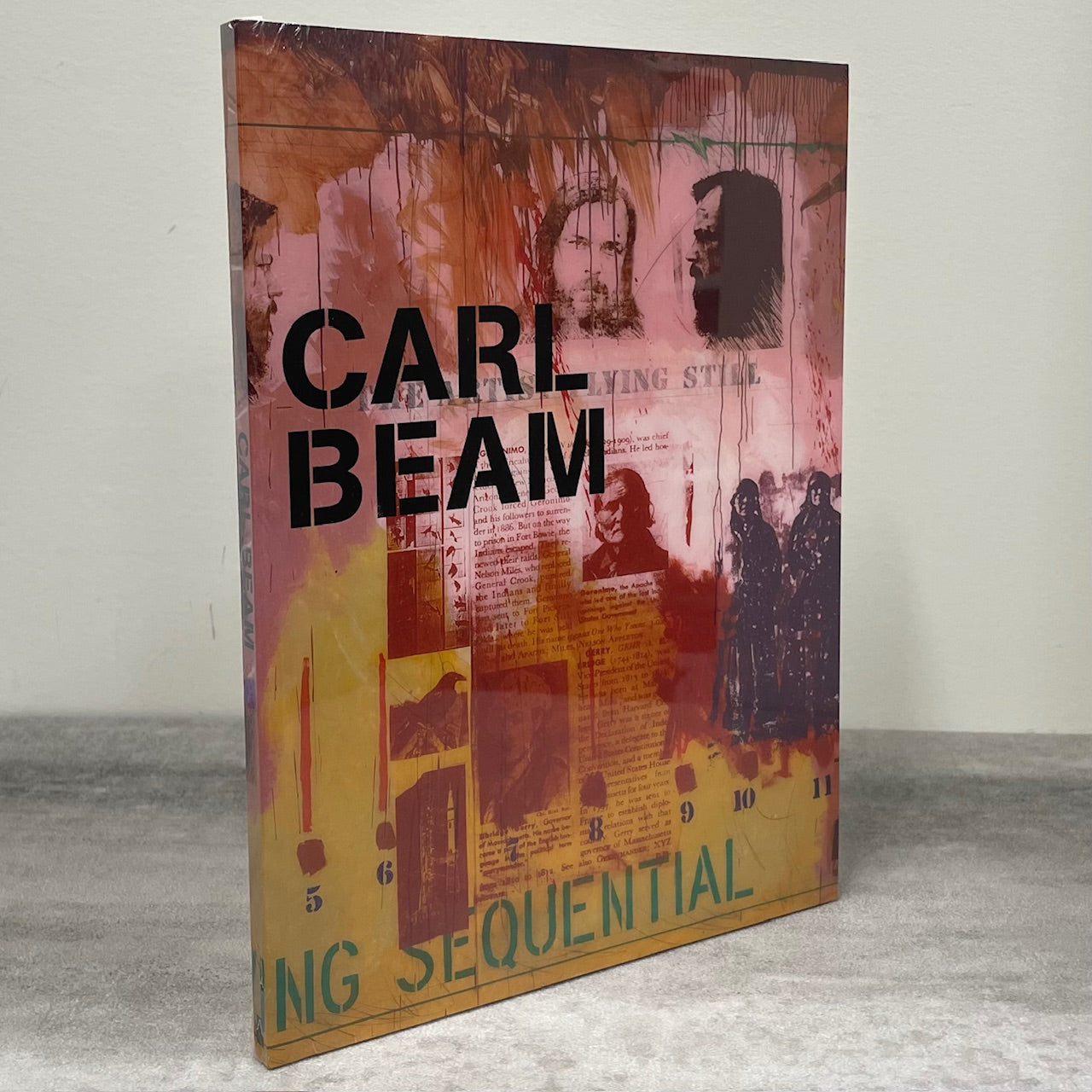 Carl Beam Canadian Art Artist Canada First Nations Painter Indigenous Book