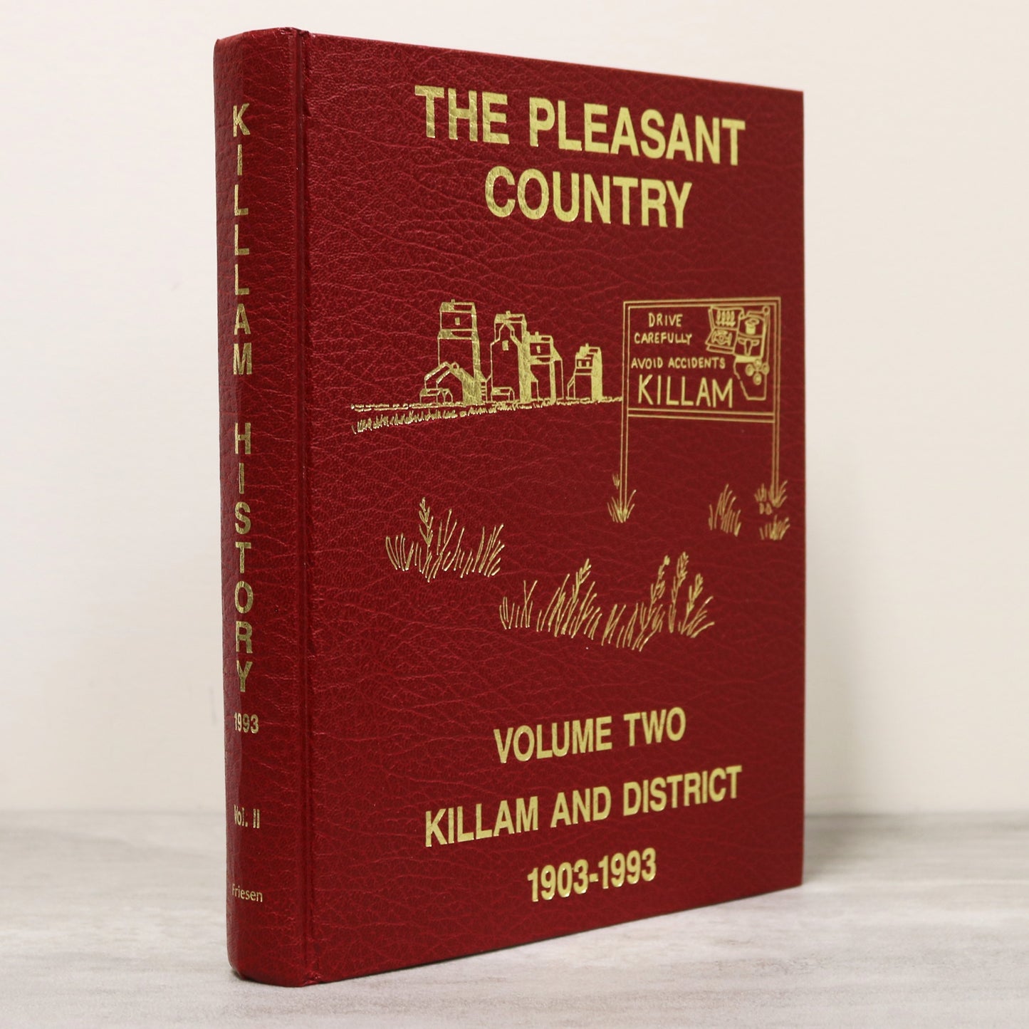 The Pleasant Country Vol 2 Killam History Alberta Canada Canadian Used Book