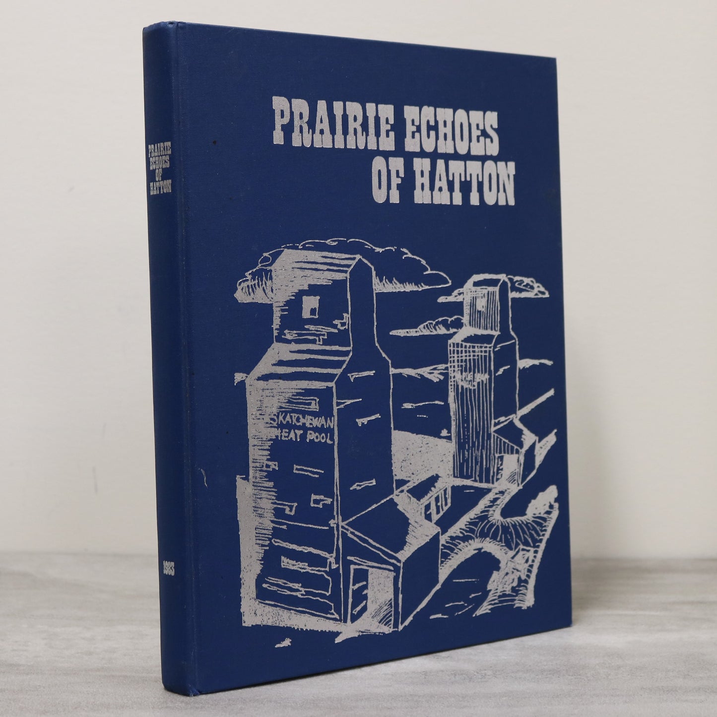 Prairie Echoes of Hatton Saskatchewan Canada Canadian Local History Used Book
