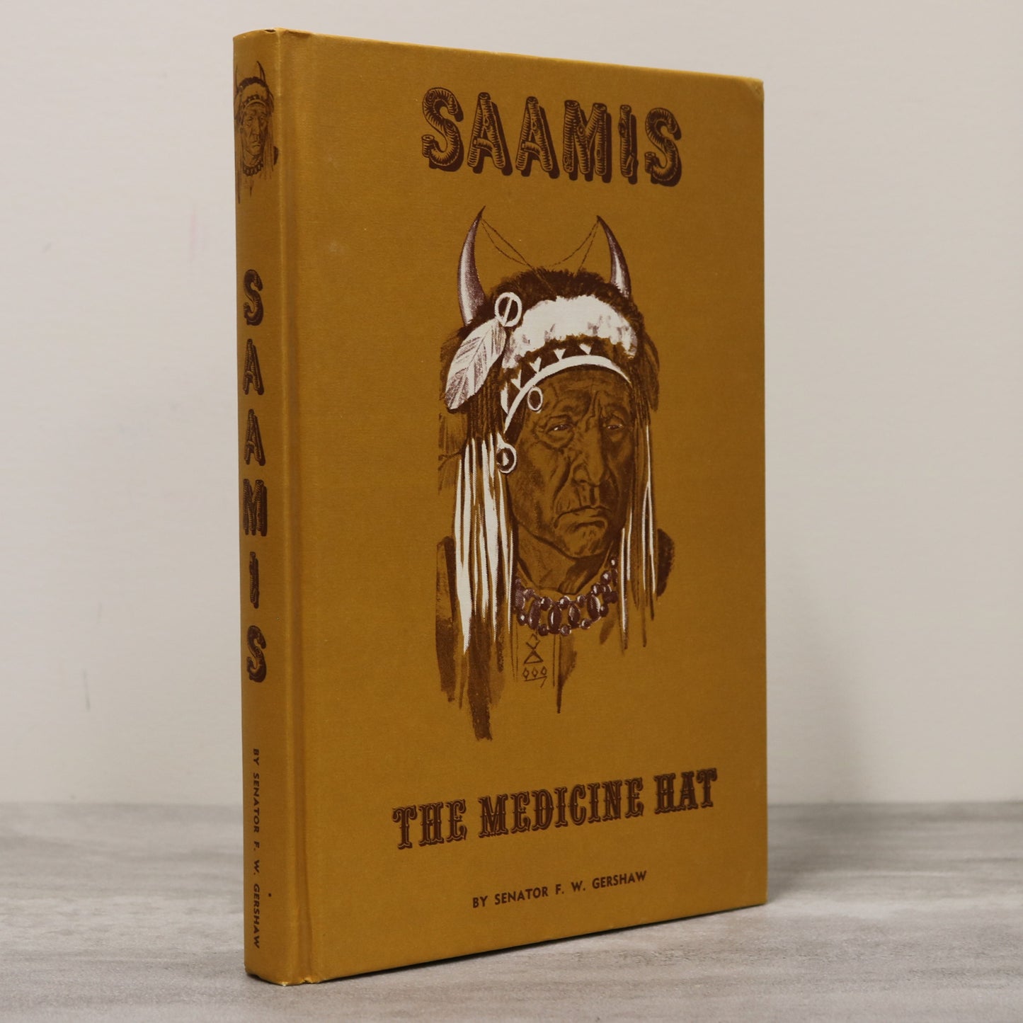 Saamis Medicine Hat Cyprus Hills Alberta Canada Canadian Community History Book