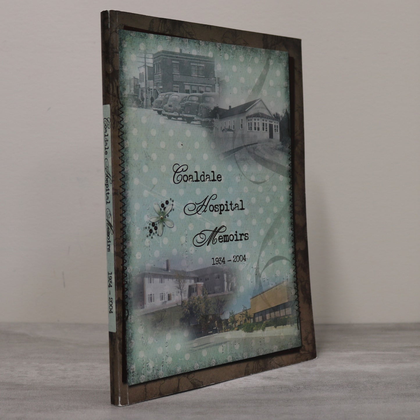 Coaldale Hospital Memoirs Alberta Canada Canadian Healthcare Lethbridge History Book