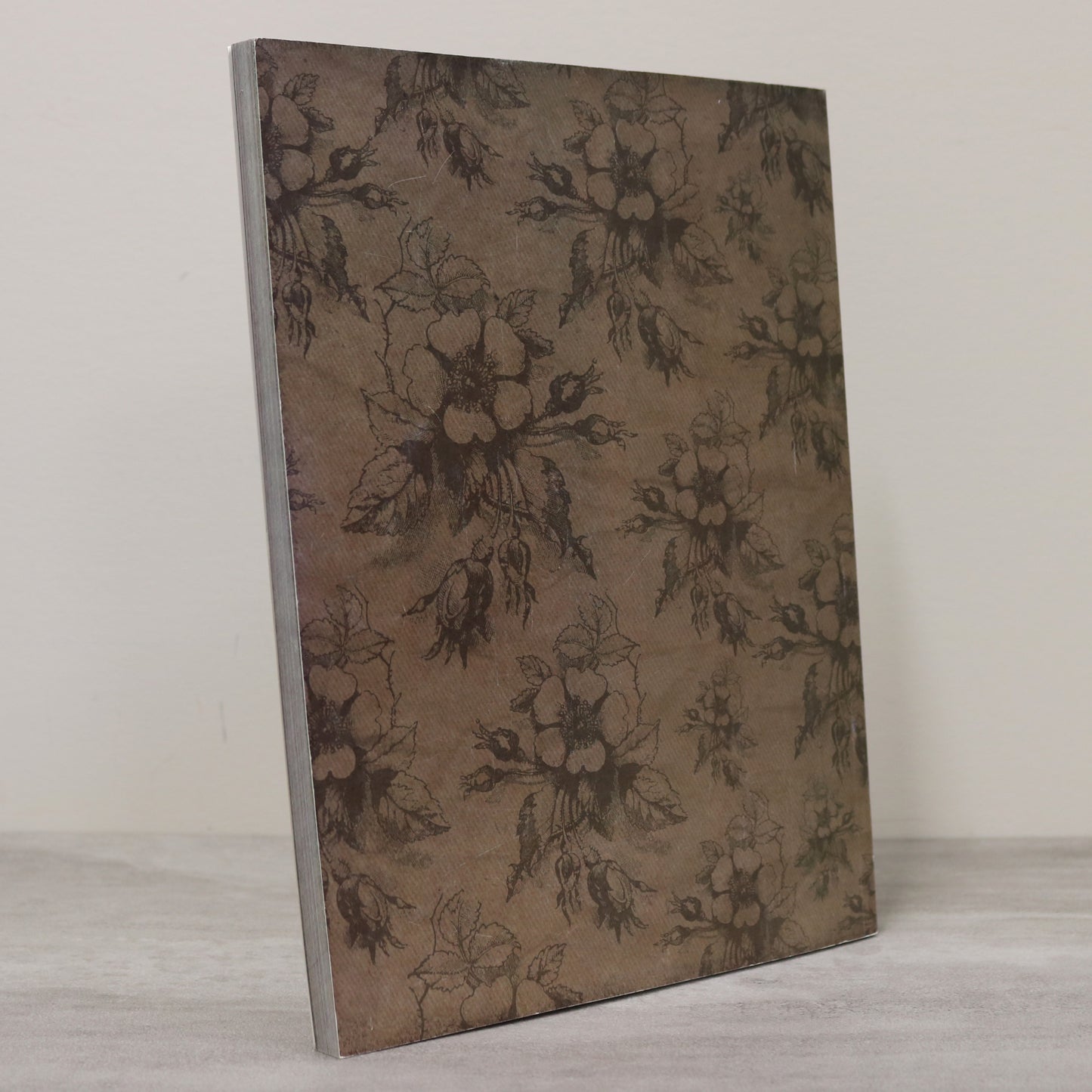 Coaldale Hospital Memoirs Alberta Canada Canadian Healthcare Lethbridge History Book