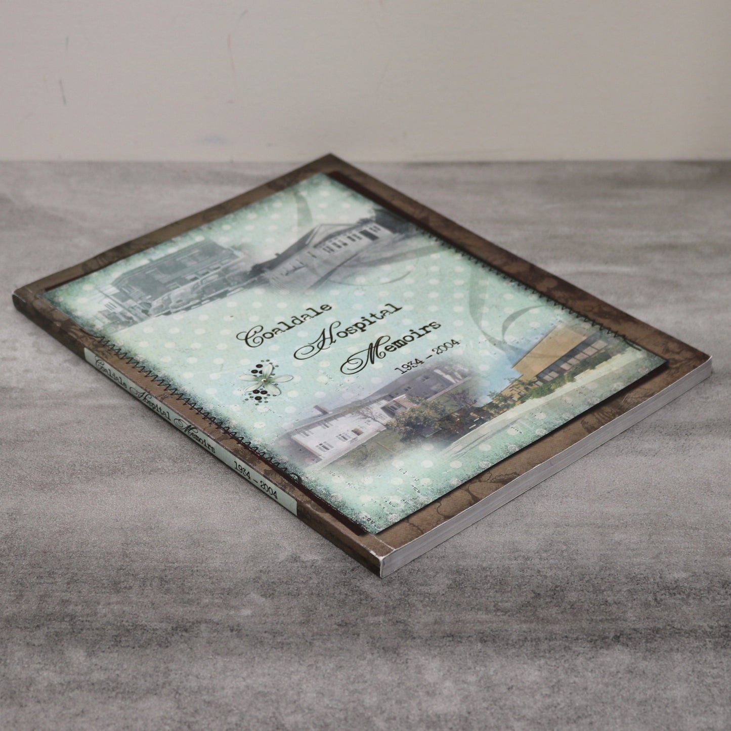 Coaldale Hospital Memoirs Alberta Canada Canadian Healthcare Lethbridge History Book