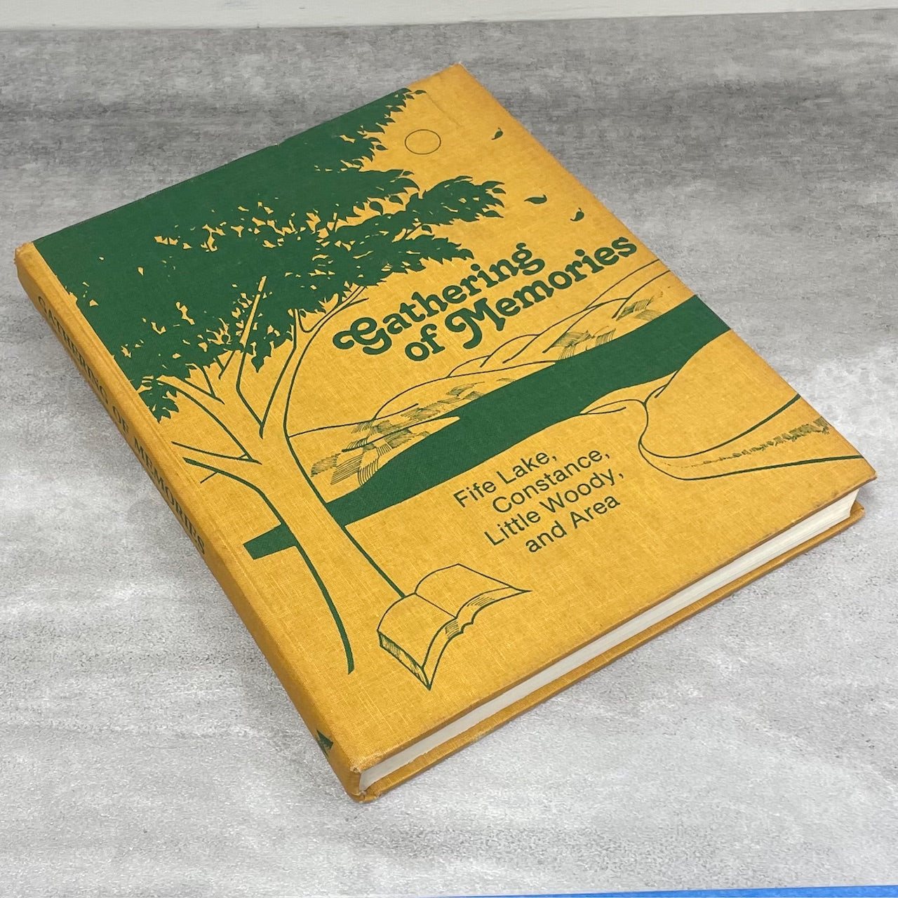 Gathering of Memories Fife Lake Constance Little Woody Saskatchewan Used Book