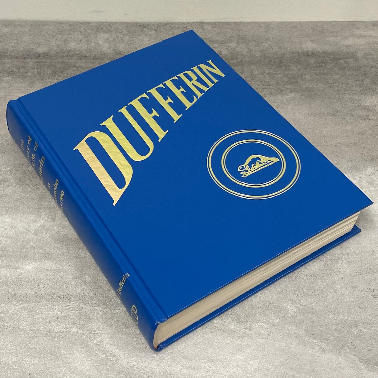 RM of Dufferin Manitoba Canada Canadian History Local Used Book