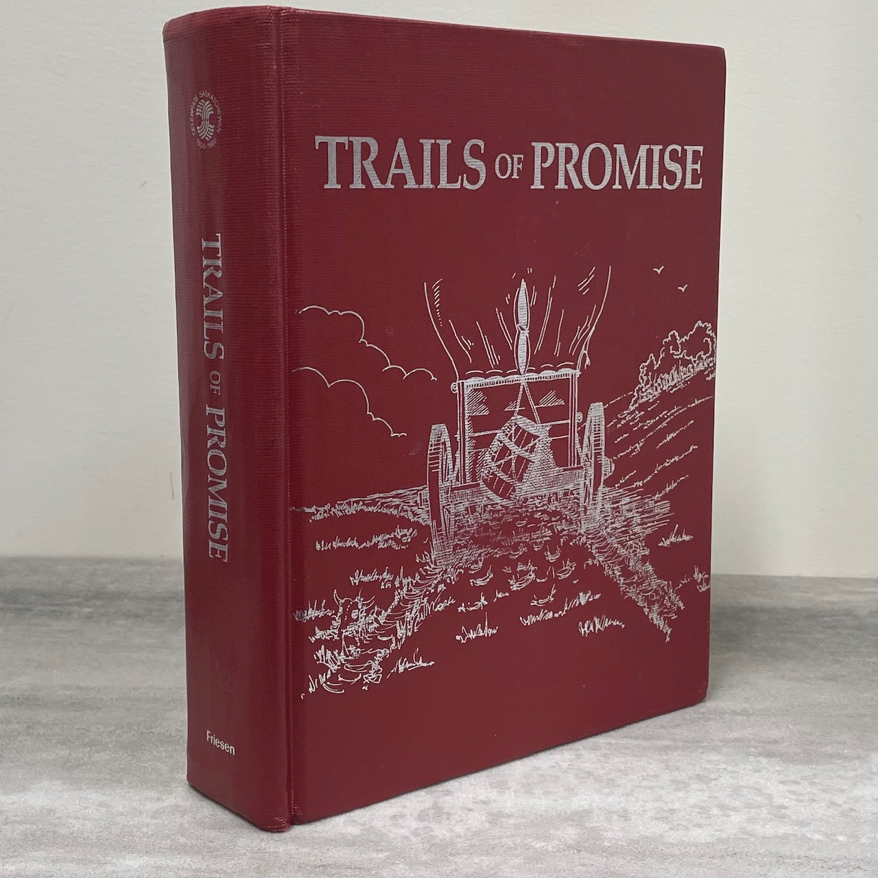 Trails of Promise Medstead Saskatchewan Canada Canadian History Used Book