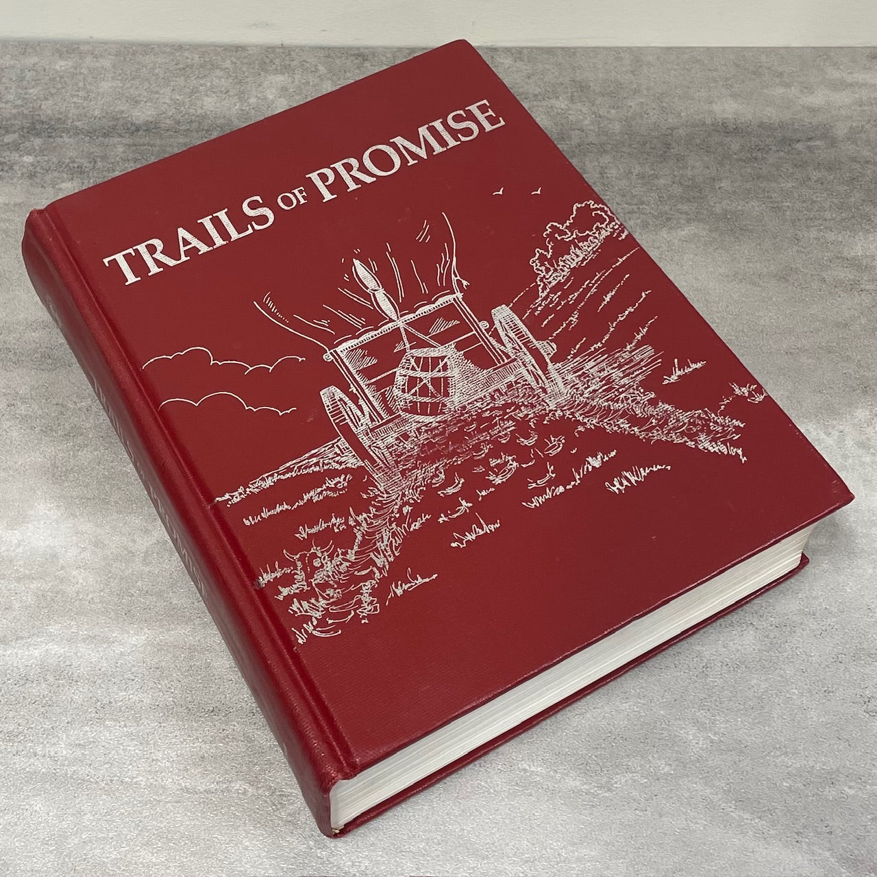 Trails of Promise Medstead Saskatchewan Canada Canadian History Used Book