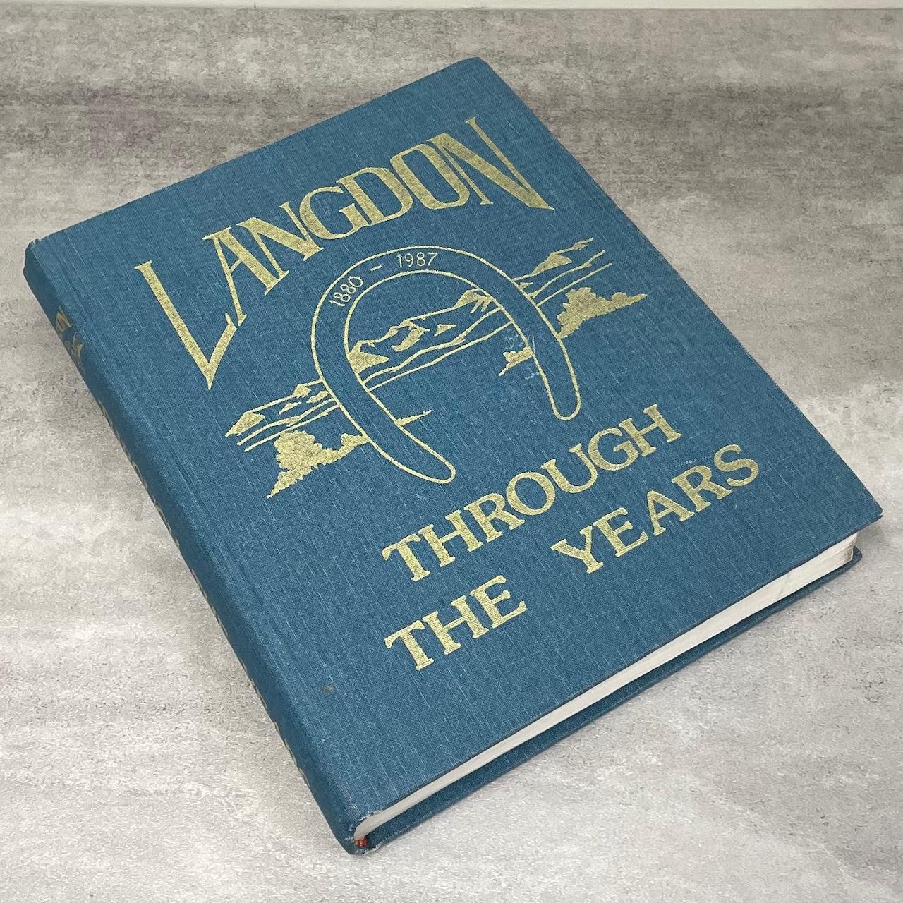Langdon Through the Years Alberta Canada Canadian Local History Used Book