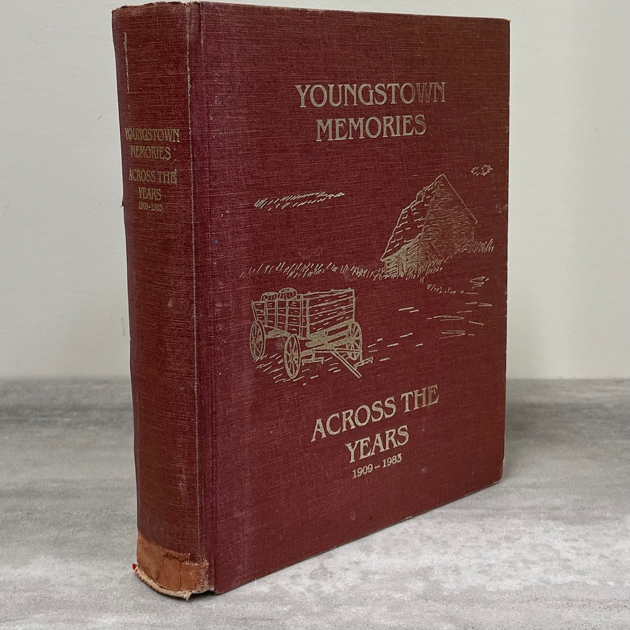 Youngstown Memories Alberta Canada Canadian Local History Used Book