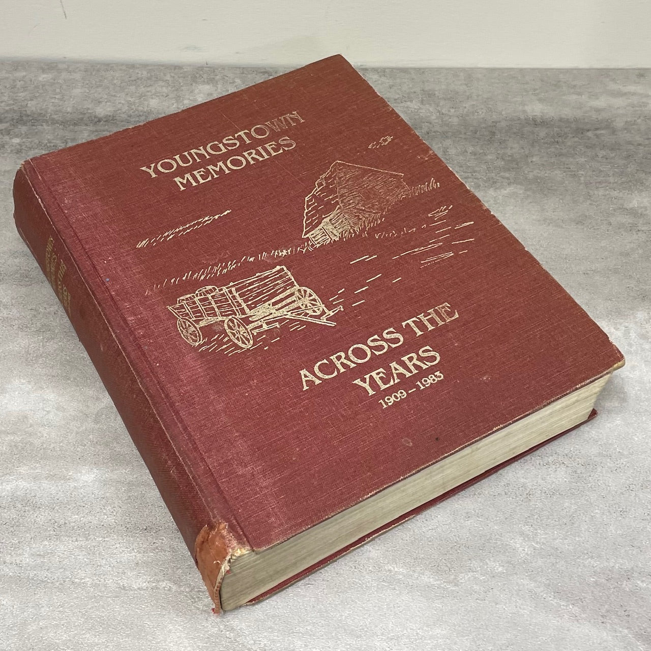 Youngstown Memories Alberta Canada Canadian Local History Used Book
