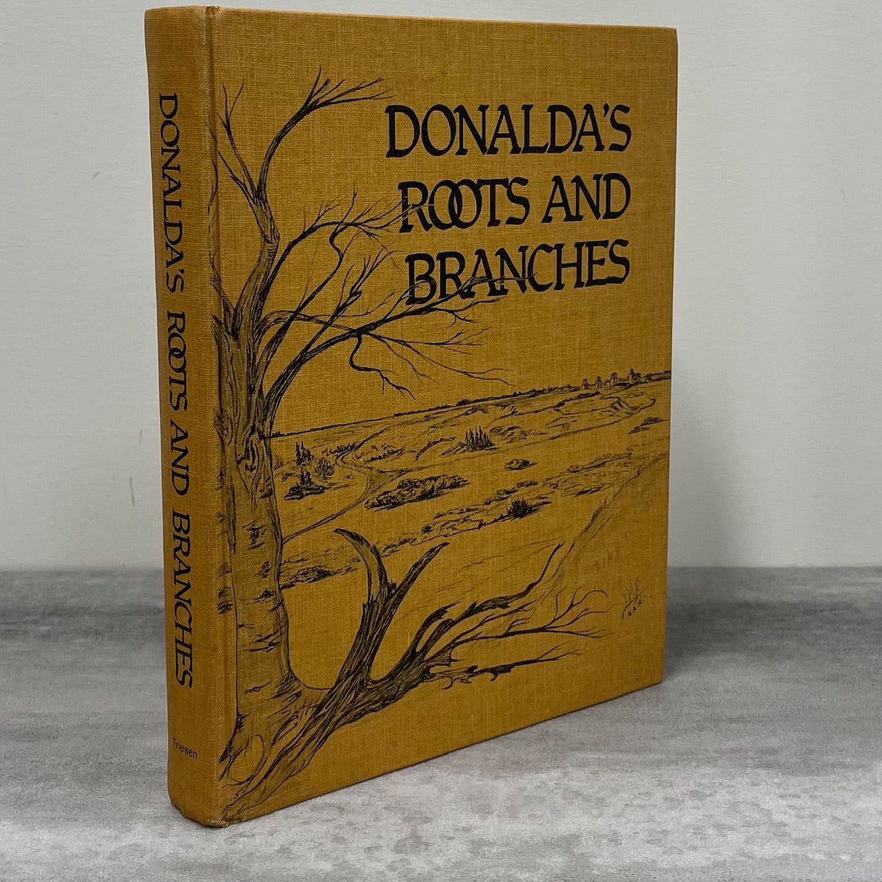 Donalda Roots and Branches Alberta Canada Canadian Community History Book