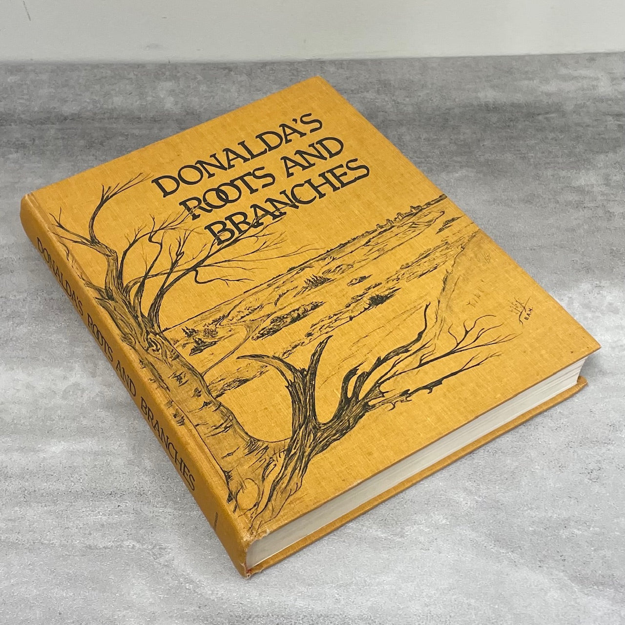 Donalda Roots and Branches Alberta Canada Canadian Community History Book