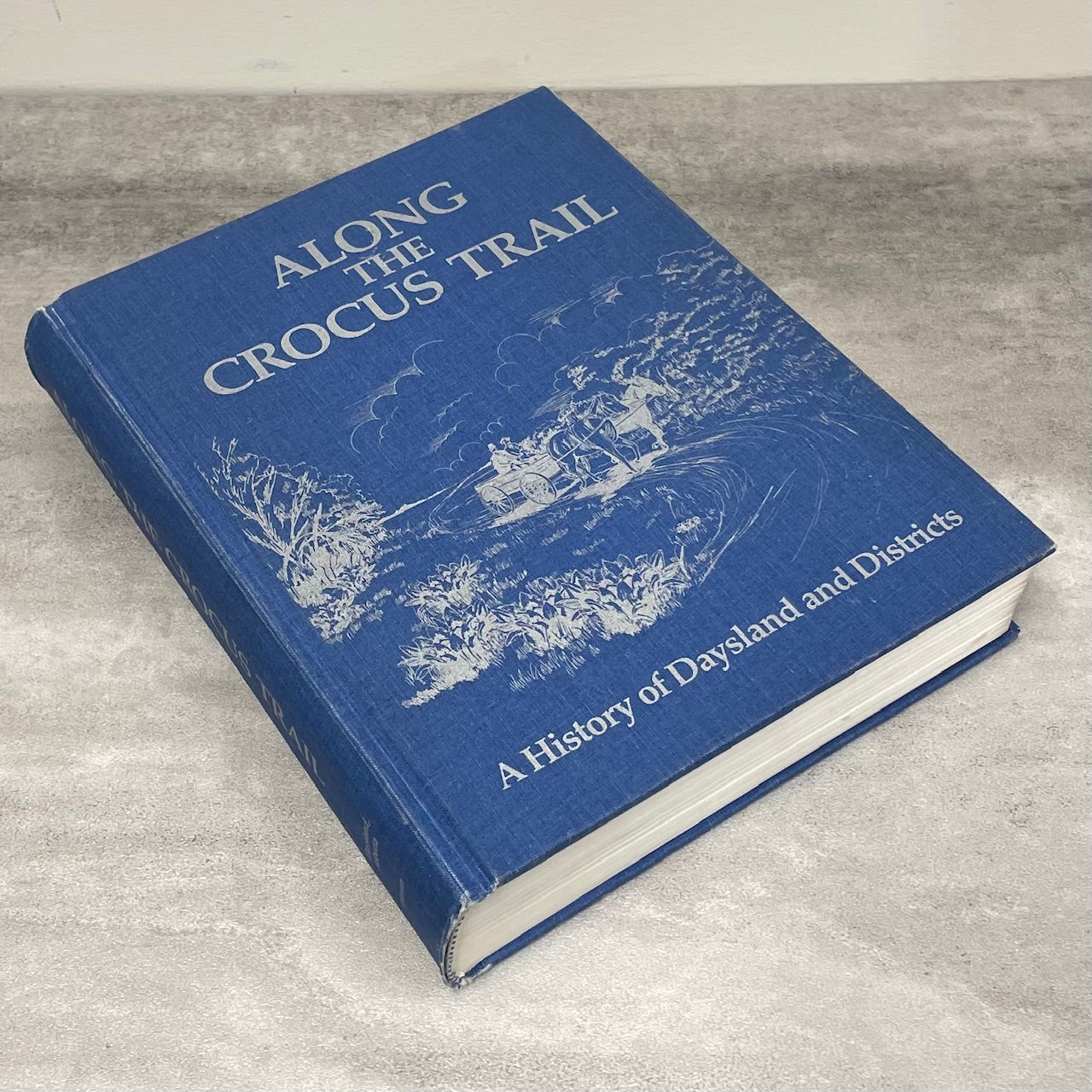 Along Crocus Trail Daysland Alberta Canada Canadian Local History Used Book
