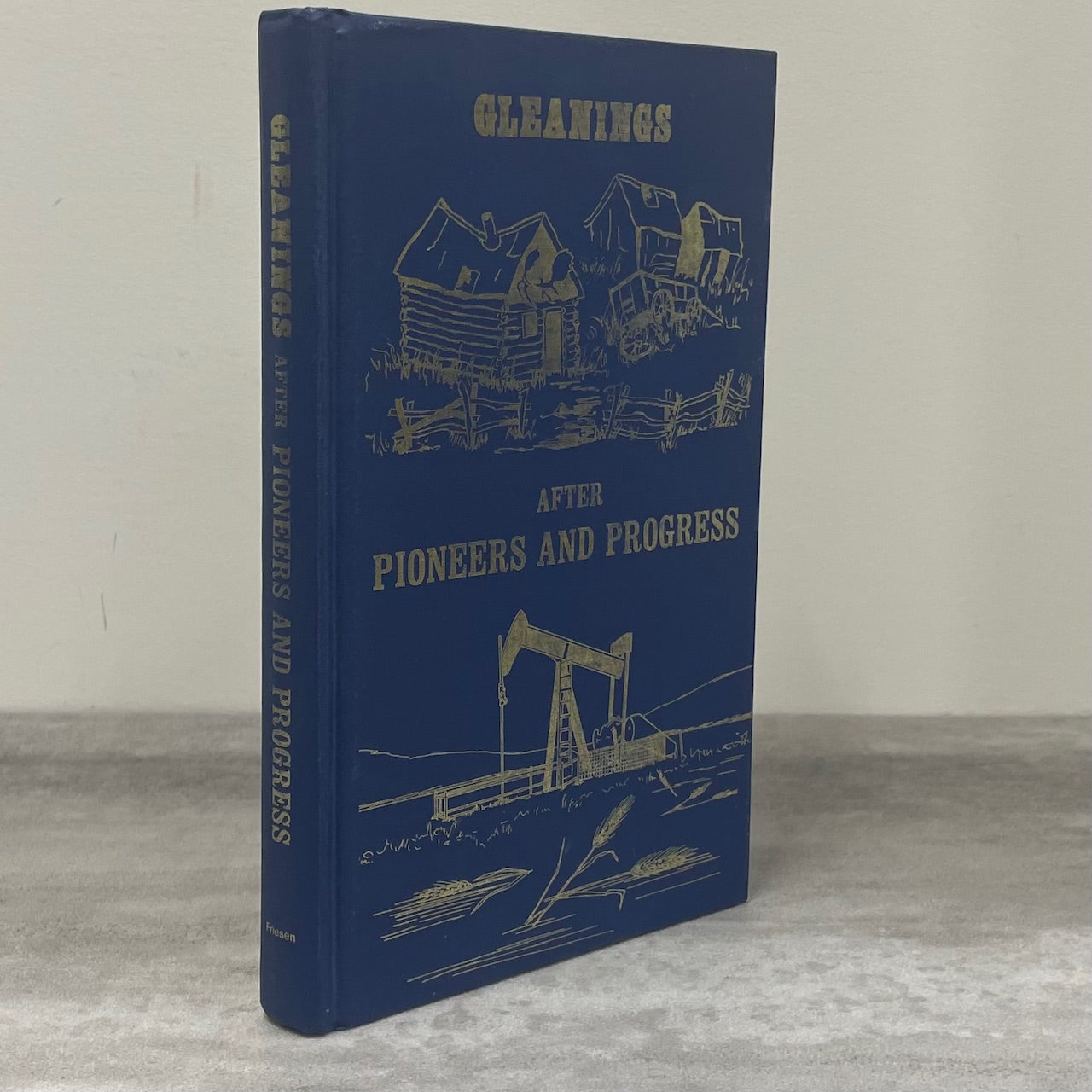 Gleanings After Pioneers Progress Alix Alberta Canada Canadian Local History Book
