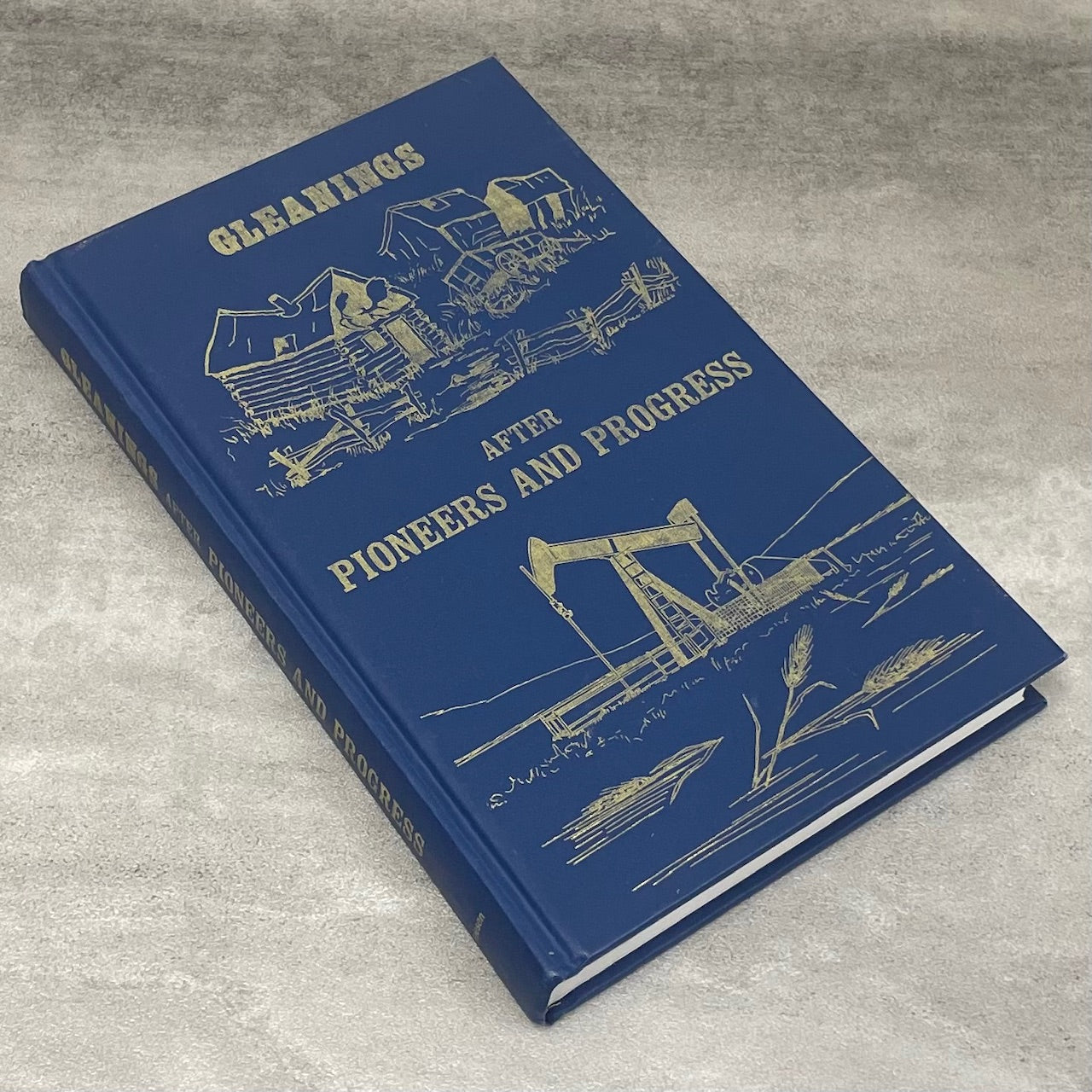 Gleanings After Pioneers Progress Alix Alberta Canada Canadian Local History Book