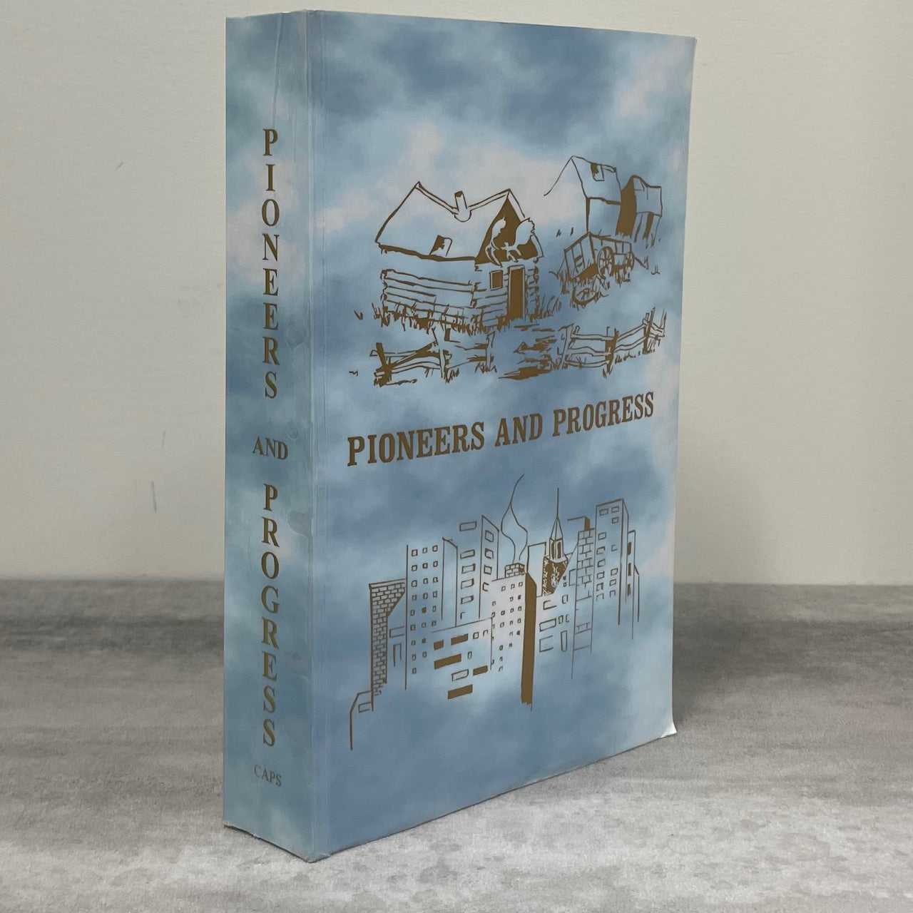 Pioneers and Progress Alix Clive Mirror Alberta Canada Canadian Local History Book