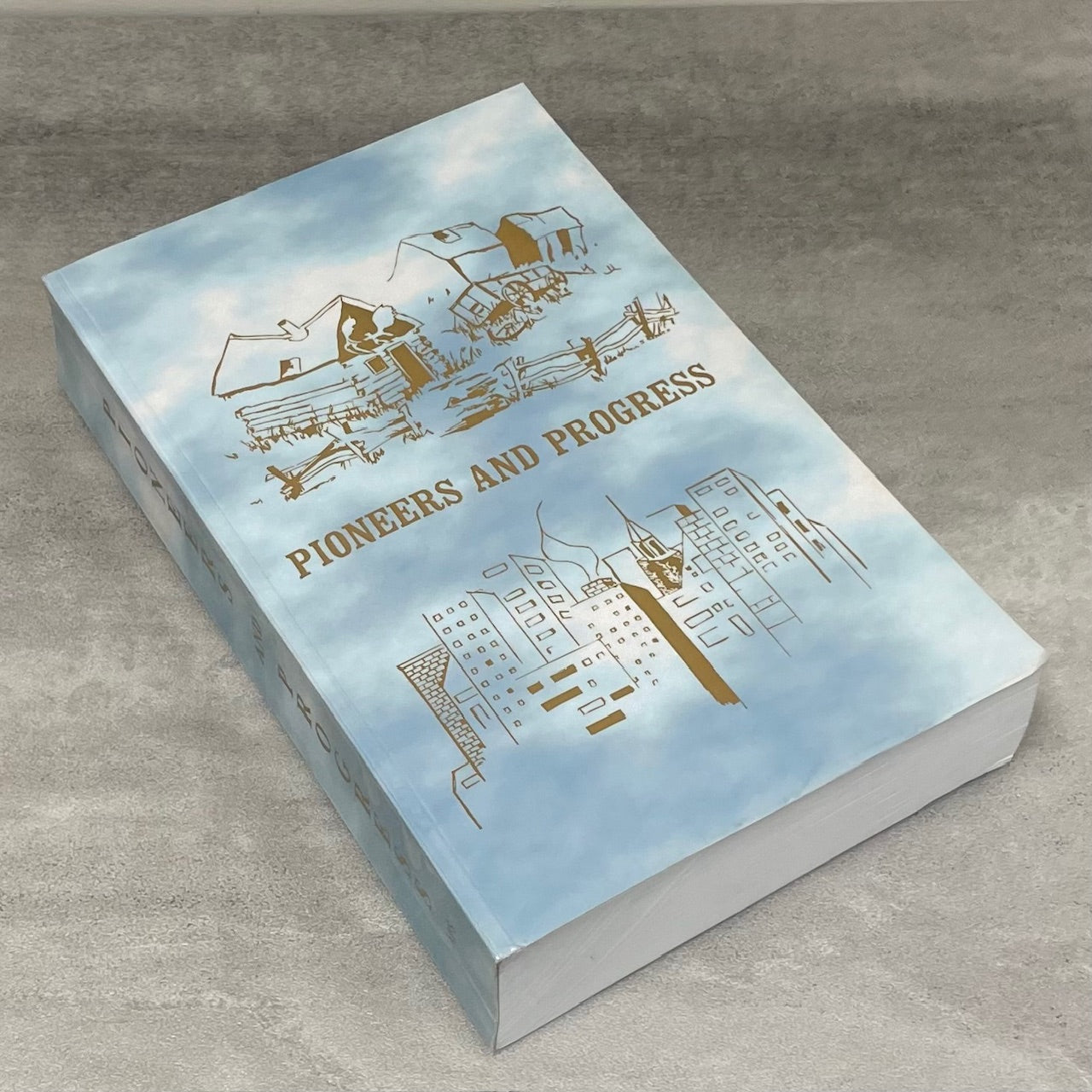 Pioneers and Progress Alix Clive Mirror Alberta Canada Canadian Local History Book