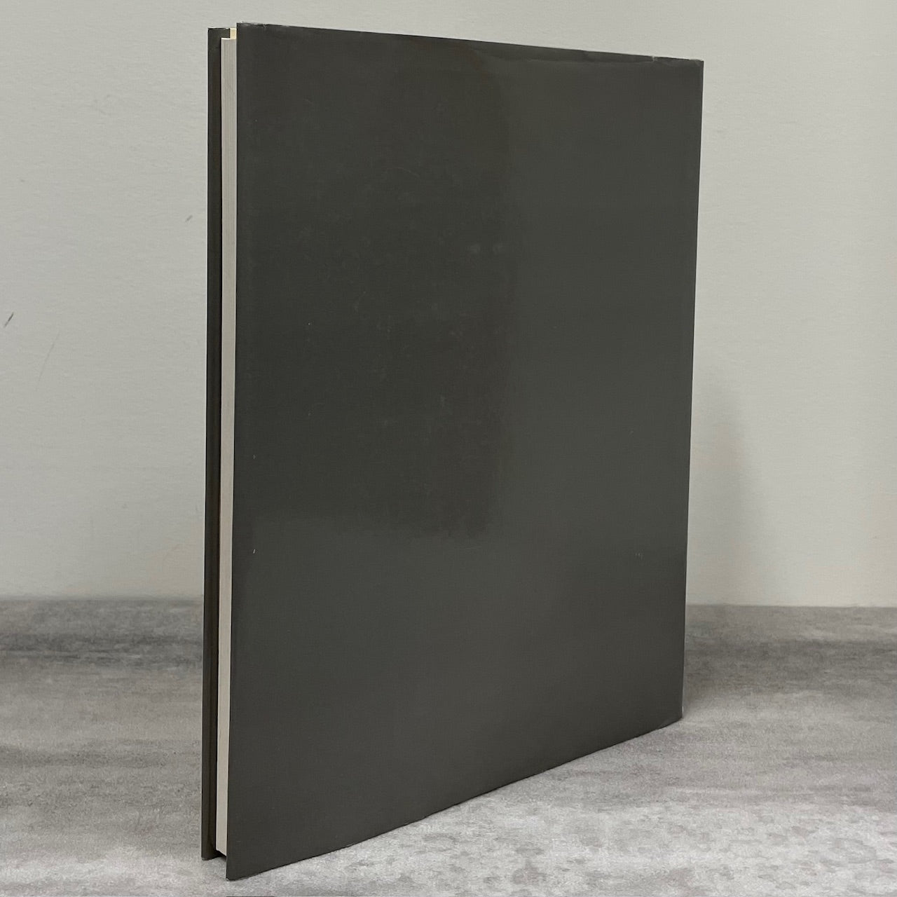 Robert Genn Praise of Painting Canada Canadian Autobiography Artist Art Painter Book