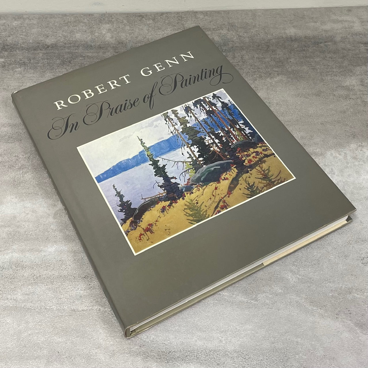 Robert Genn Praise of Painting Canada Canadian Autobiography Artist Art Painter Book