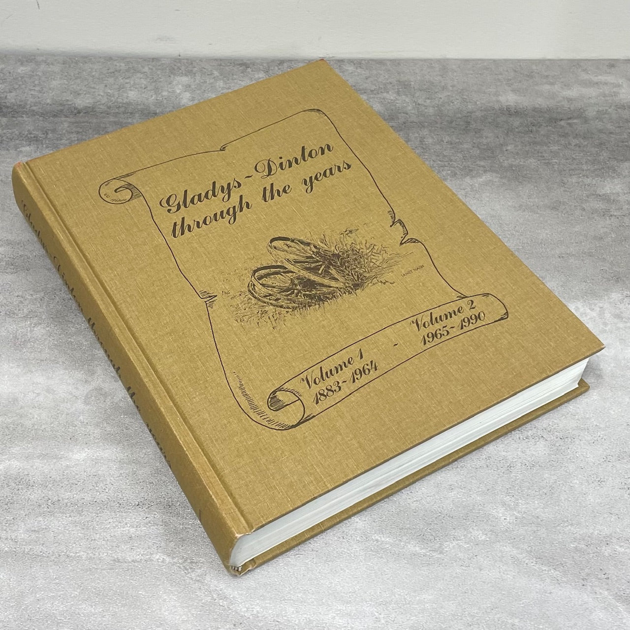 Gladys Dinton Through Years Alberta History Canada Used Book